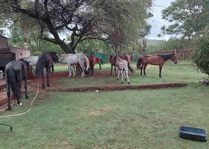 Thandile Country Lodge