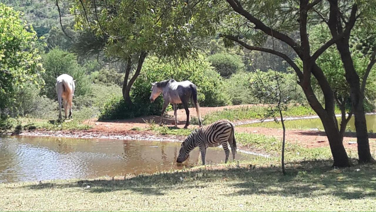 Thandile Country * Bela-Bela