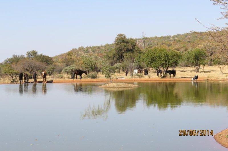 Thandile Country Bela-Bela