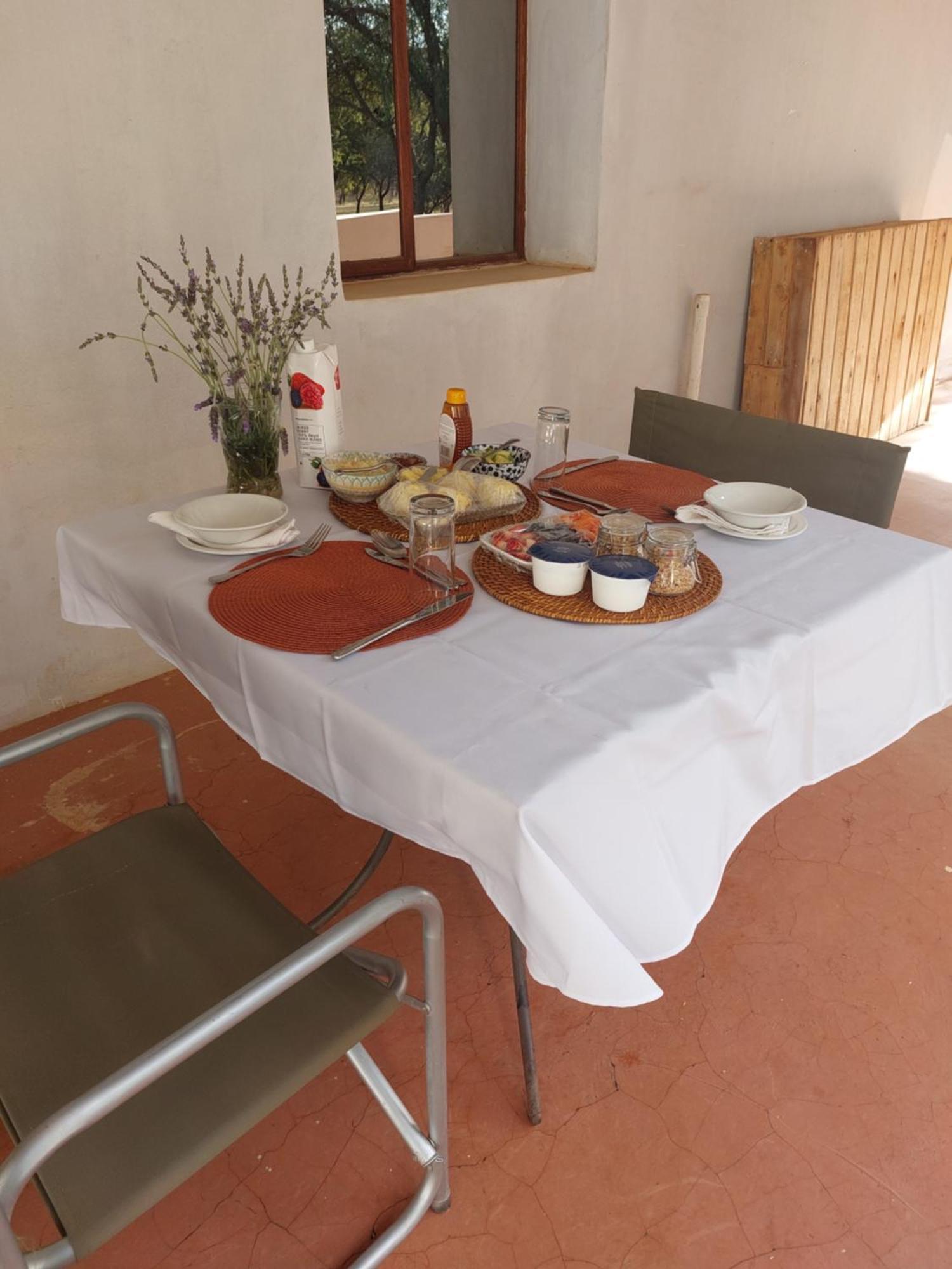 Country house Thandile Country Bela-Bela