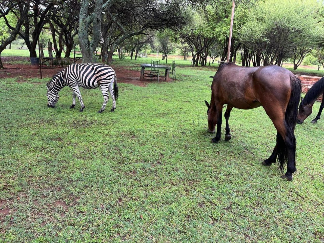 Thandile Country Country house
