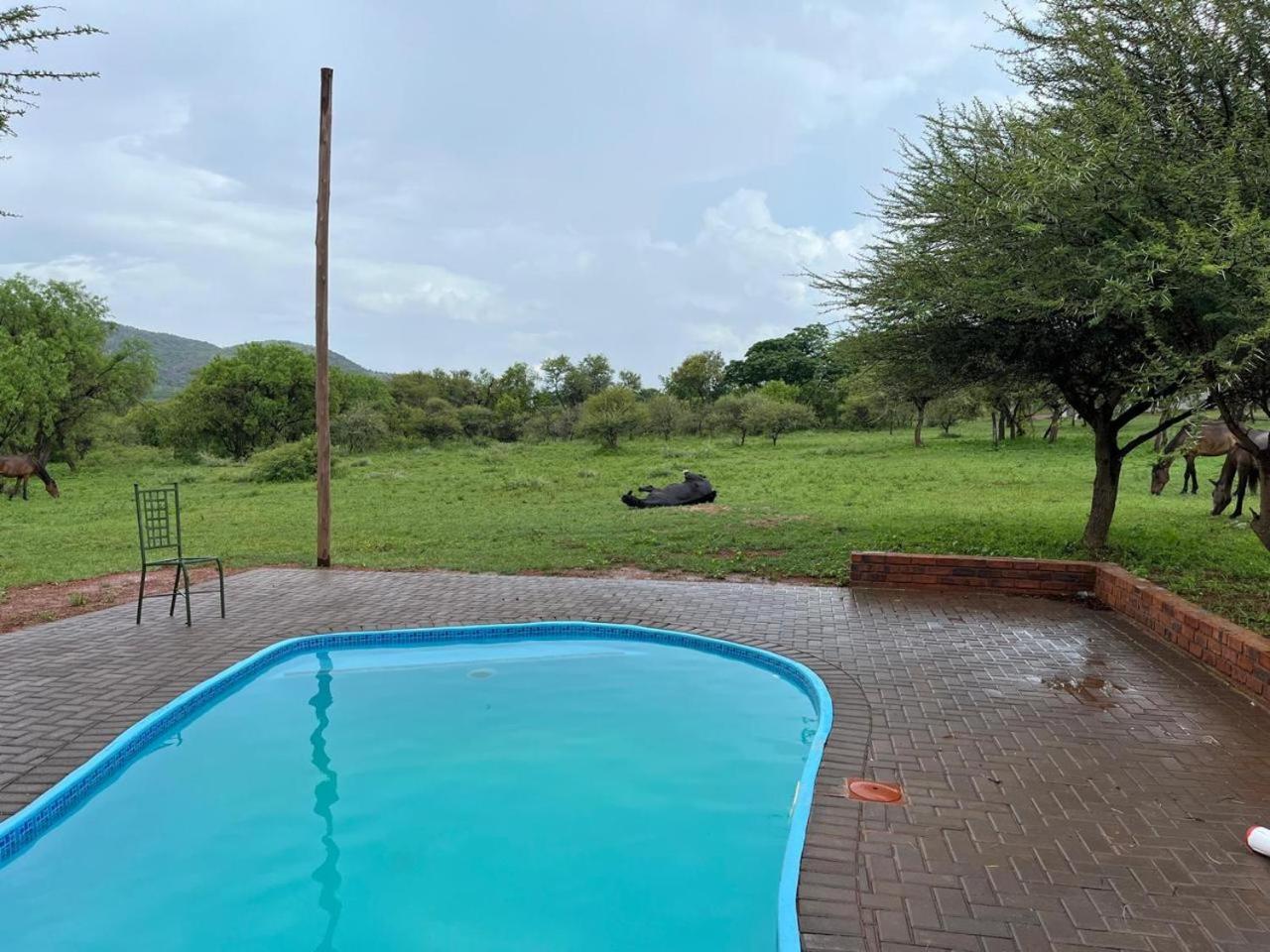 Country house Thandile Country Bela-Bela