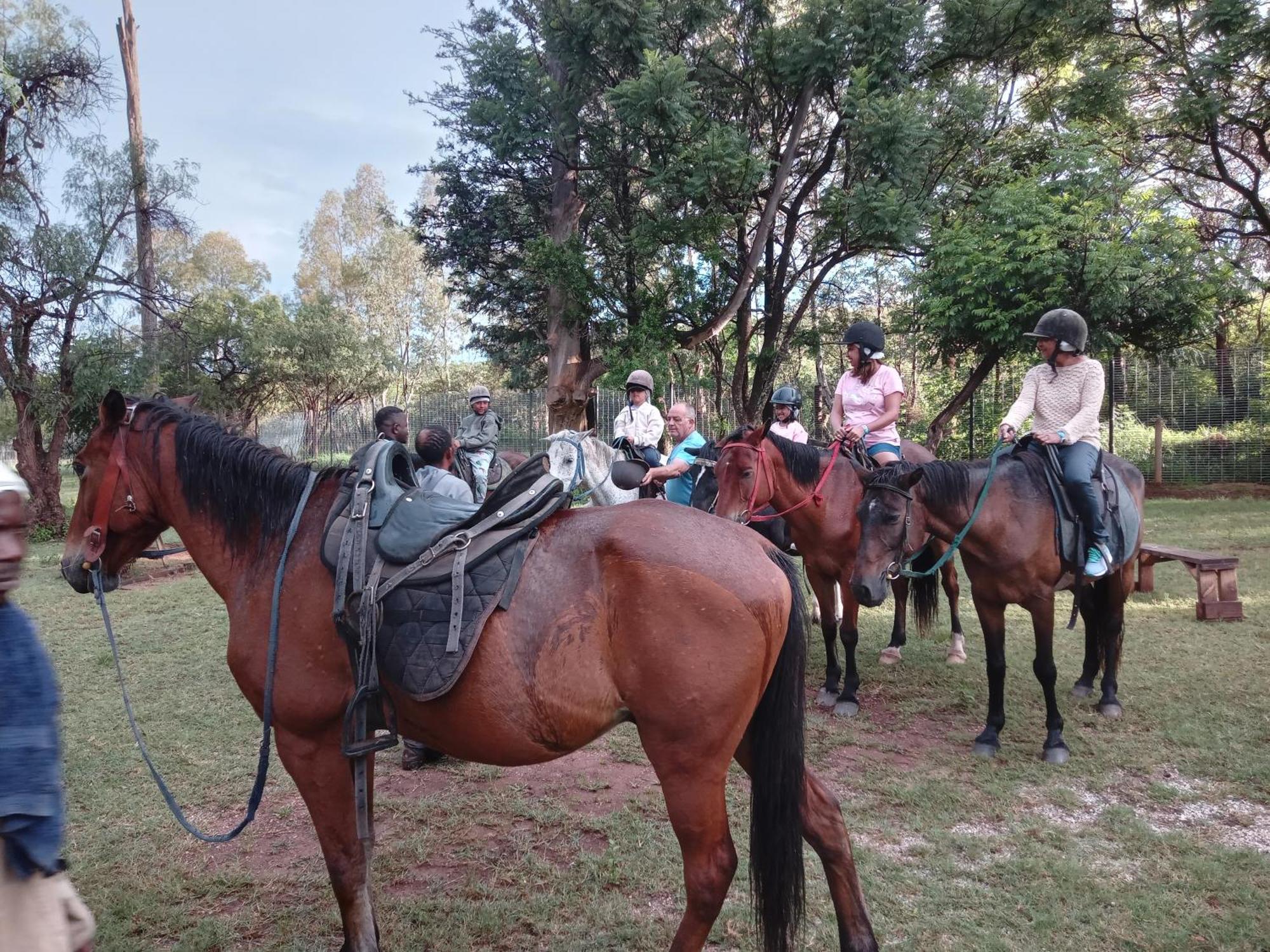 Country house Thandile Country Bela-Bela